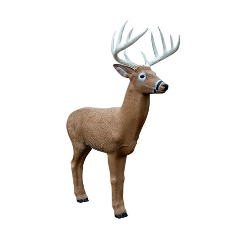 Rinehart Deer Midwest Buck IBO