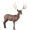 Image of Rinehart Woodland Mule Deer insert
